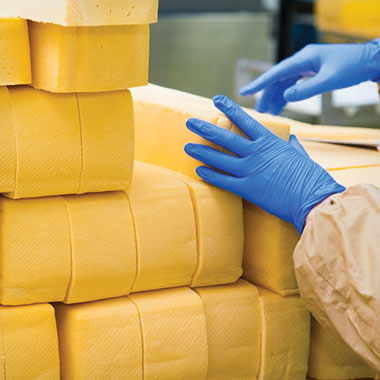 Ein Arbeiter stapelt Käseblöcke in einer Molkerei. In der Molkereiindustrie können TOC-Analysatoren bei der Überwachung der organischen Belastung des Abwassers helfen und Produktverluste reduzieren.