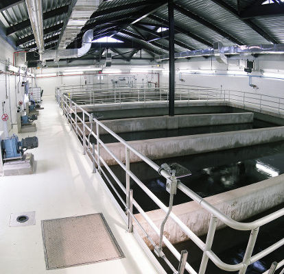 save money on your disinfection process